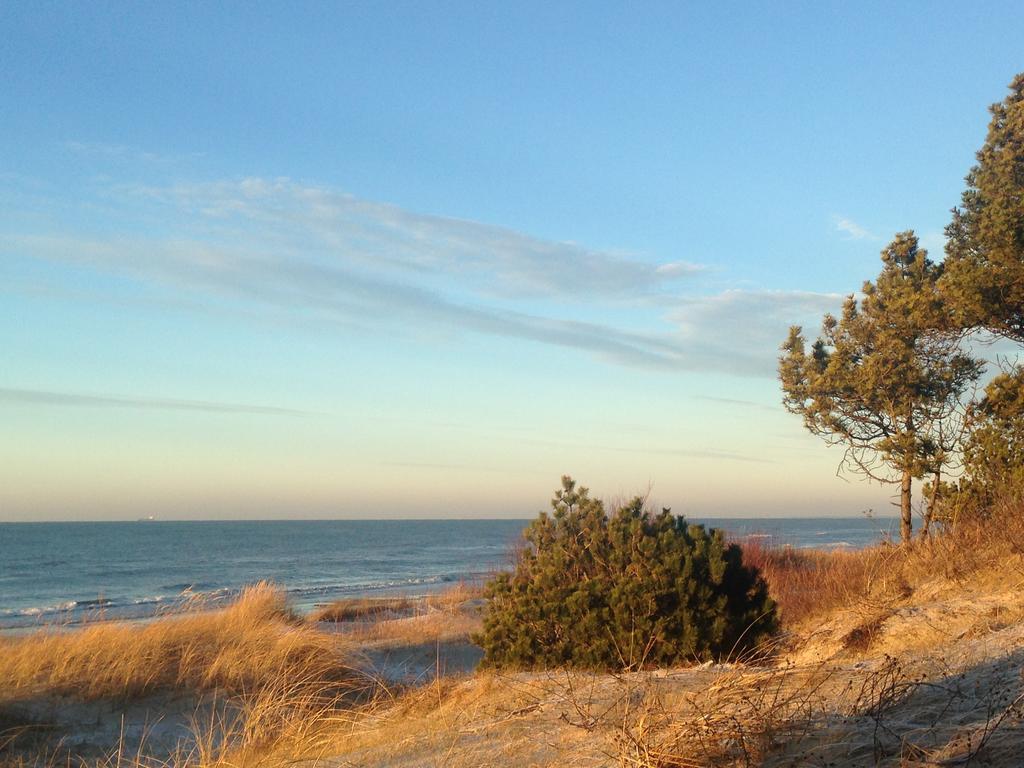 Palangos Apartamentai - Bangu Palanga Exteriör bild